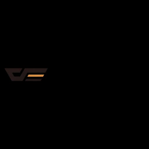 DarkFlash's Logo